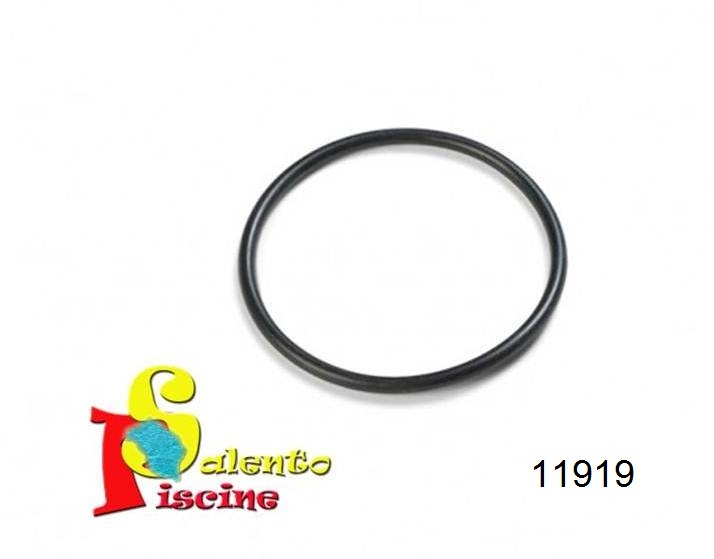 Kit Guarnizioni Per Pompa Piscina Intex C1000: Alloggiamento, Tappo E O-Ring